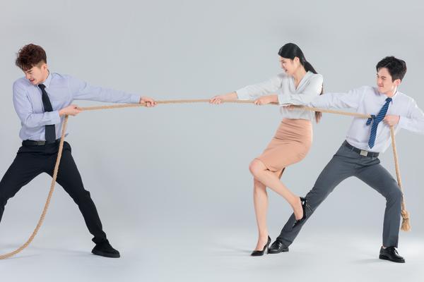 传统企业电子商务转型失败的原因及应对策略 图1