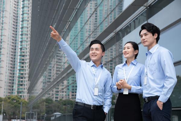 如何系统化构建企业组织架构以支持复杂项目