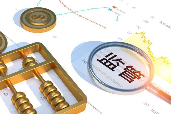 项目运营模式与市场拓展 图1