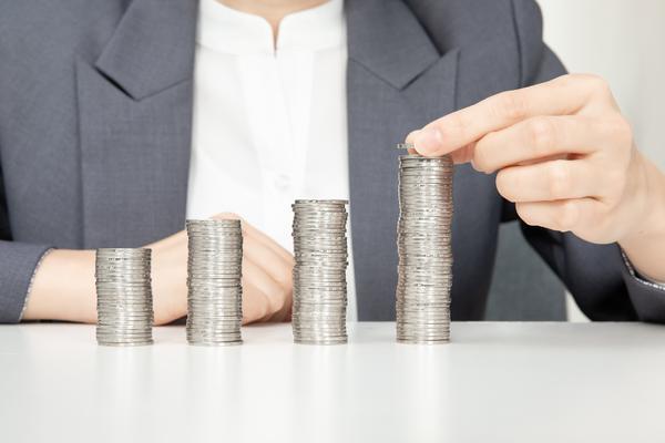 《私募基金涉外投资人的监管策略与风险管理》图1