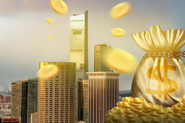 林园私募基金：神秘富豪的资本运作之路图1