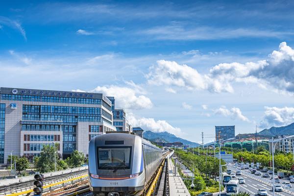 大学生考证市场趋势|大学生考证需求与职业发展路径 图2