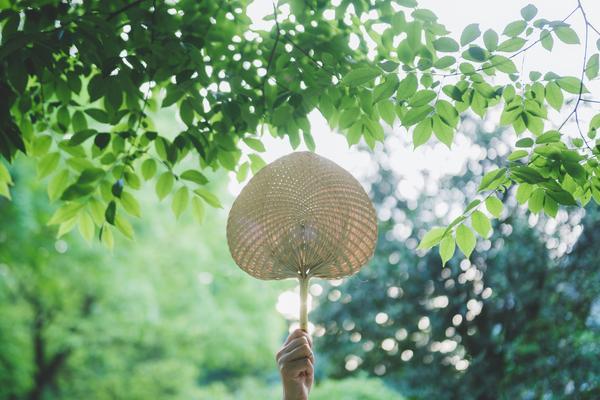 泰国琳琅商业模式:如何利用旅游业和电子商务发展经济图1