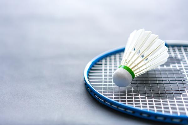 羽毛球运动普及活动：激发运动热情，享受健康生活 图2