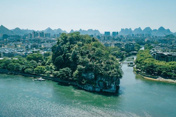 旅游app行业与市场趋势分析 图1
