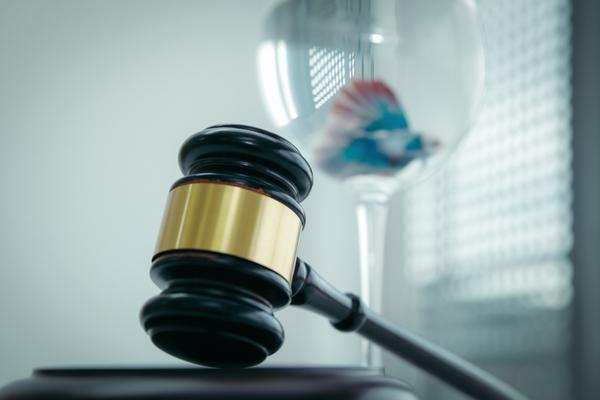 在职员工能否担任法人代表签署贷款合同？ 图2