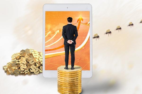 中新嘉德企业管理金融：助力企业成功之道图1