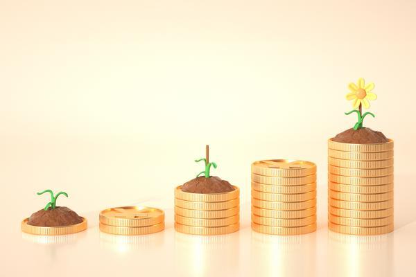中银消费金融贷款资金转出到银行卡上的流程与风险管理 图2