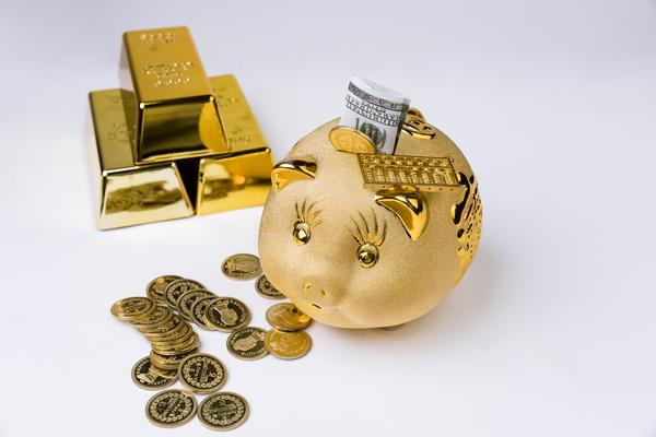 领导力培养|从小开始的关键性与项目融资的关
