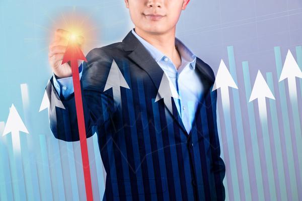 南农模式：创新涉农企业管理与项目融资新范式 图2